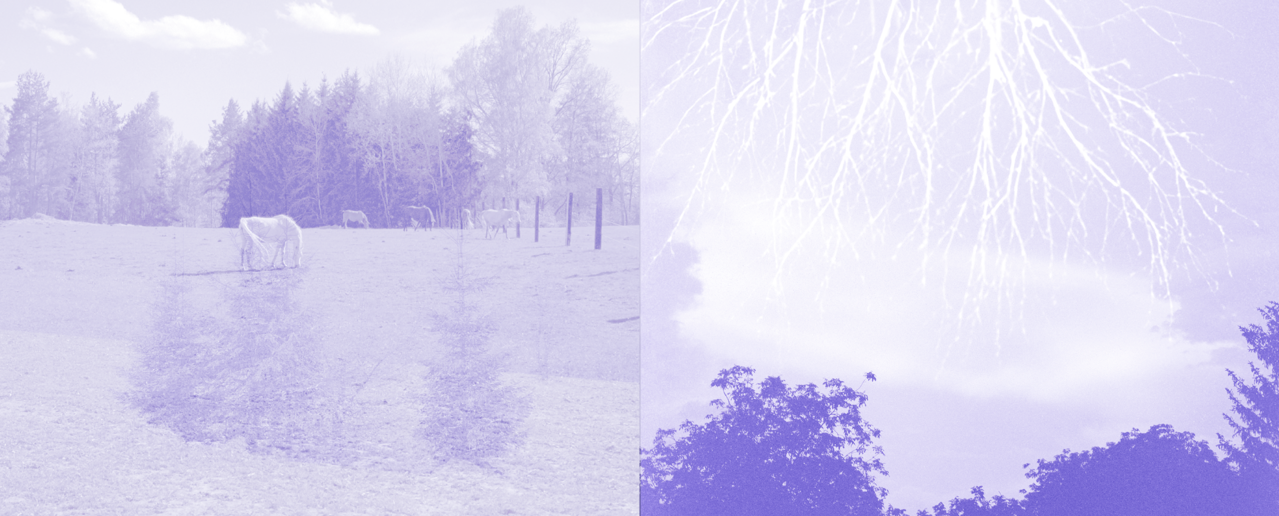 Atlas litinových křížů npú